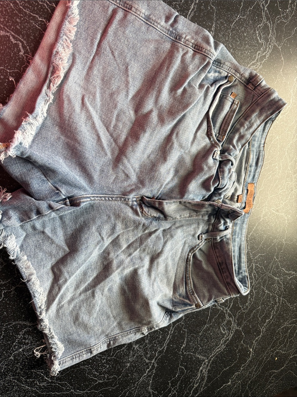 Judy Blue Light Blue Frayed Hem Denim Shorts
